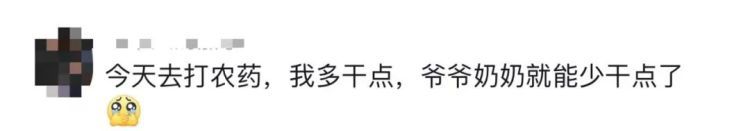 凌晨坐绿皮火车回家,帮父亲砍1800斤柴!大学生回应…… 凌晨坐绿皮火车回家,帮父亲砍1800斤柴!大学生回应……