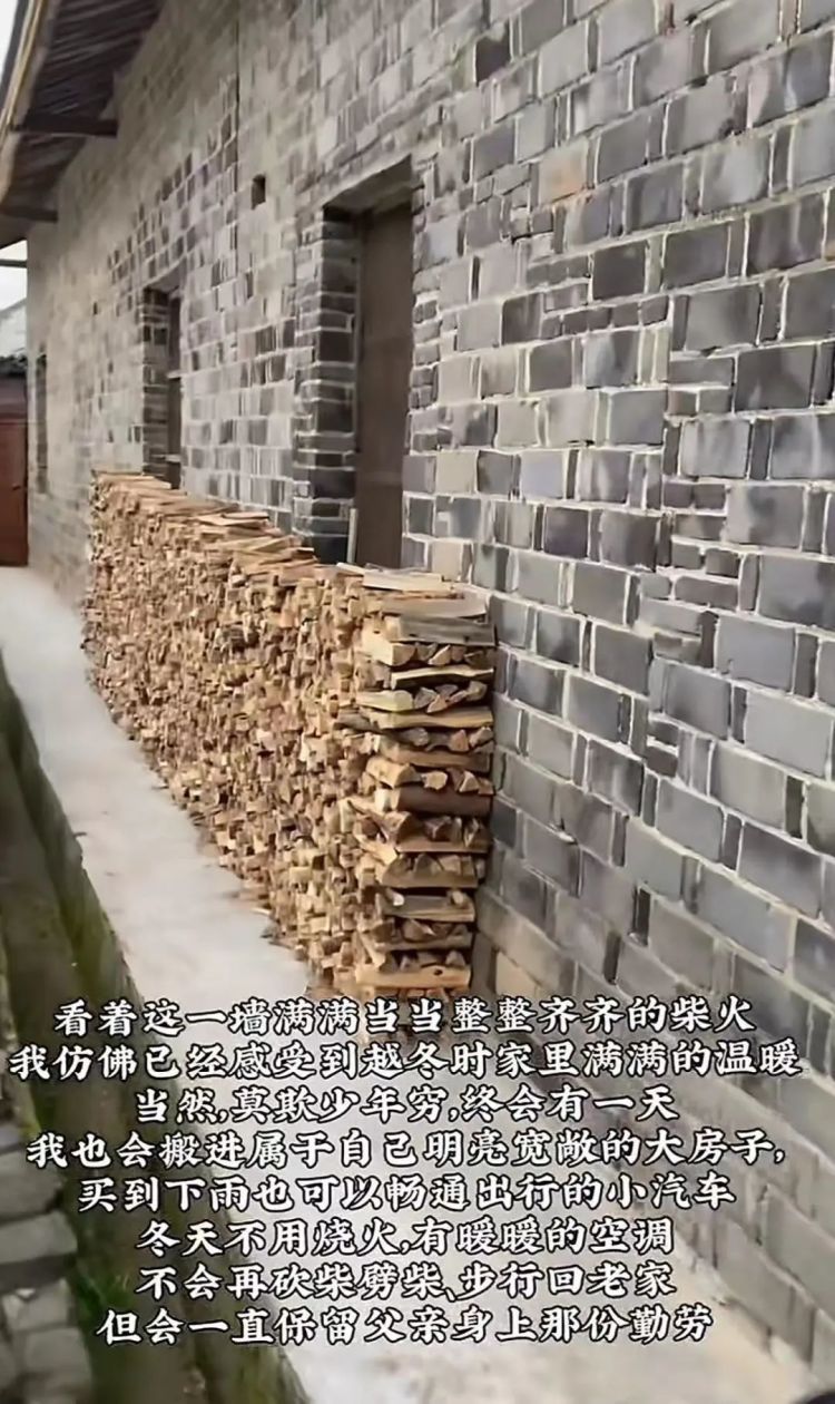 凌晨坐绿皮火车回家,帮父亲砍1800斤柴!大学生回应…… 凌晨坐绿皮火车回家,帮父亲砍1800斤柴!大学生回应……