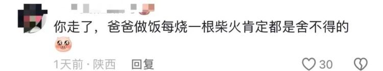 凌晨坐绿皮火车回家,帮父亲砍1800斤柴!大学生回应…… 凌晨坐绿皮火车回家,帮父亲砍1800斤柴!大学生回应……