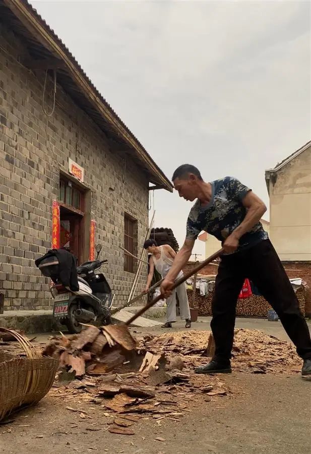 父子俩一起砍柴